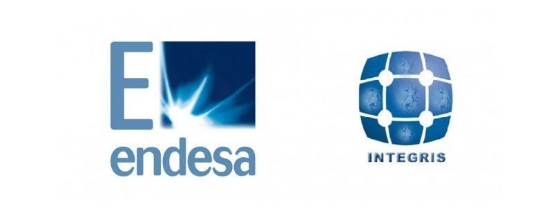 Endesa Integris