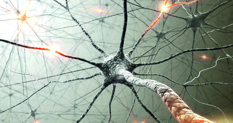 Neuronas de laboratorio