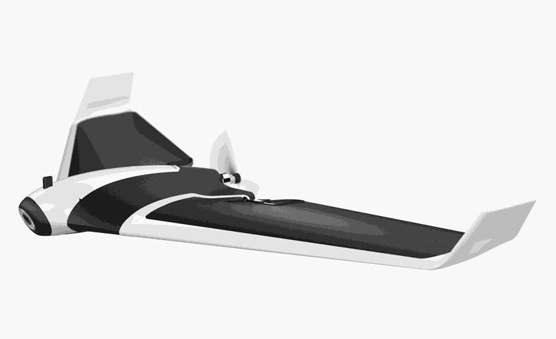 Parrot Disco