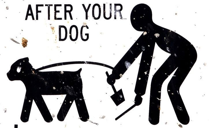 Balance the life between citizens and pets is not only a city cleaning but mainly a public health problem.