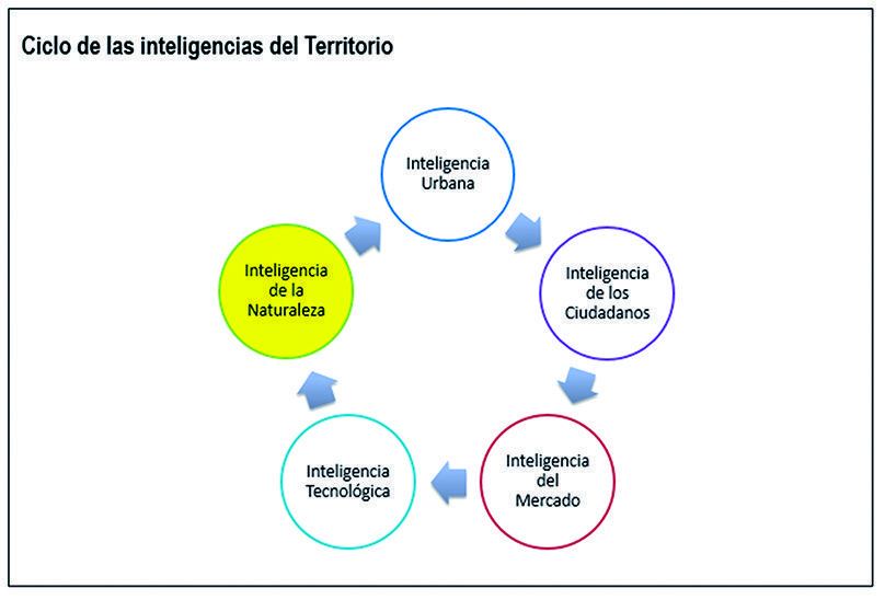 Inteligencias del territorio y las ciudades Inteligencias del territorio y las ciudades