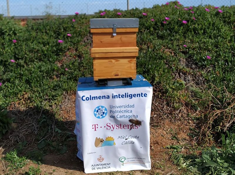 Colmenas Inteligentes