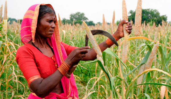 Agritech India