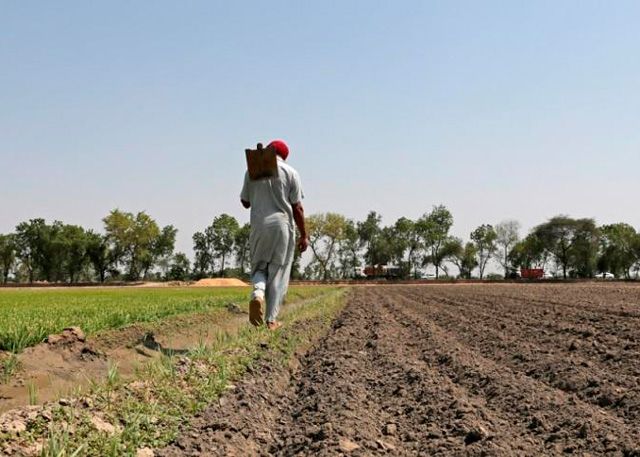 Agriculture