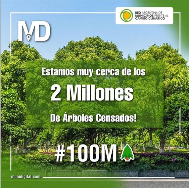 19-sostenibilidad