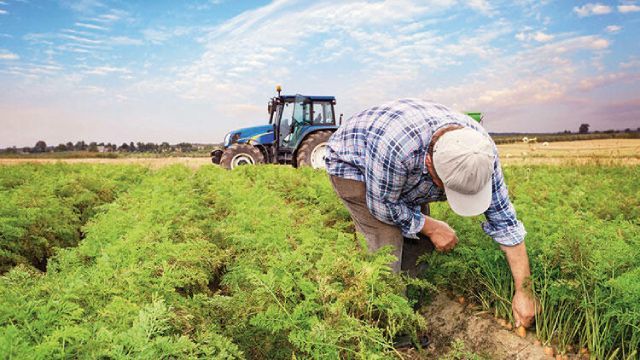 29_agrosmart