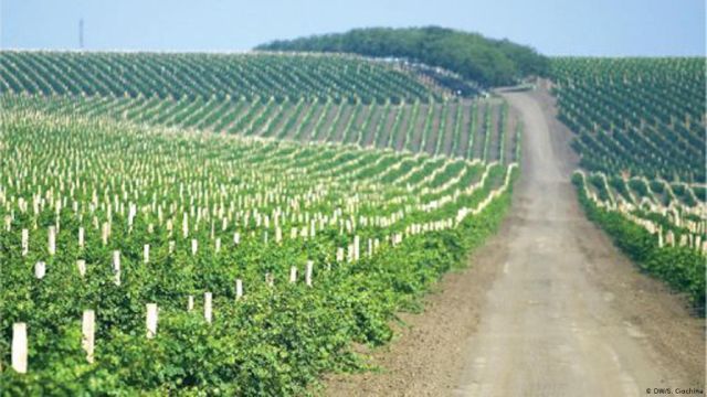 19_agrosmart