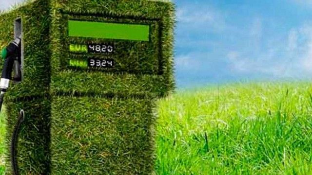 Real Decreto para fomentar el uso de los biocarburantes y fijar los objetivos de 2021 y 2022
