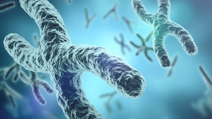 Genetic Health Map para ayudar a los profesionales sanitarios en la creación de árboles familiares