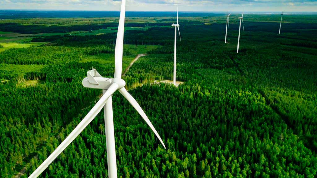 Amazon se convierte en el comprador privado de energía renovable más grande de Europa