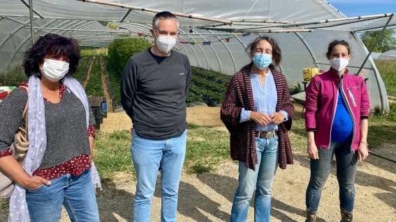 Las huertas para personas emprendedoras del sector agrario están a pleno rendimiento en Donostia