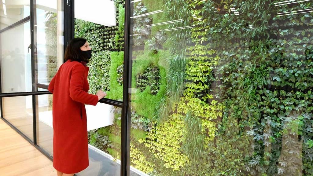 El nuevo jardín vertical de Santander logra captar gran atención internacional