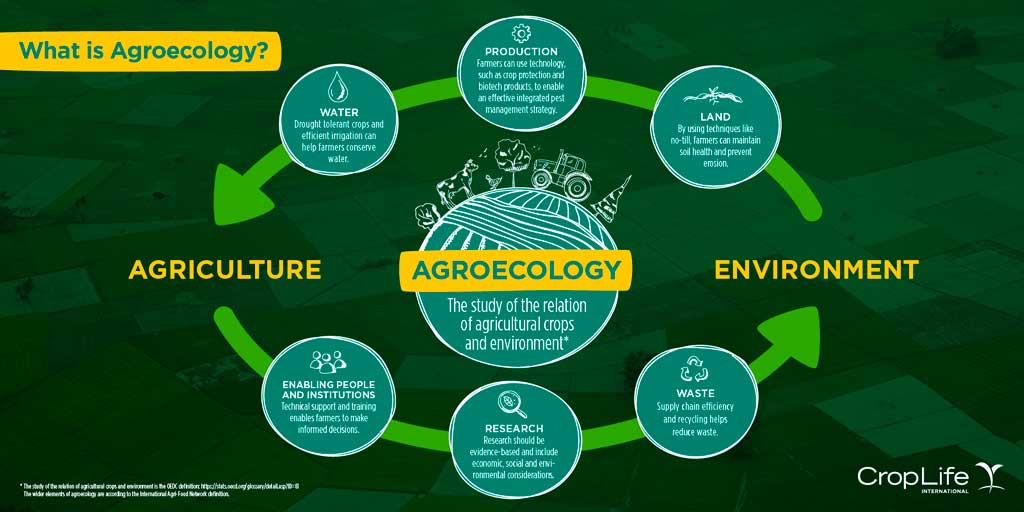 Agroecology, a solution to world food system’s failure