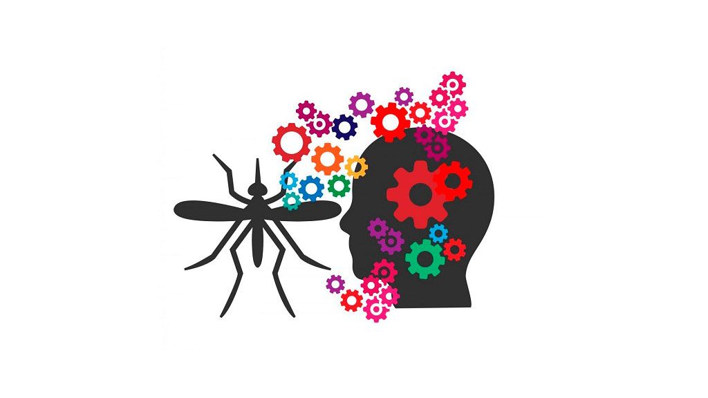 La inteligencia artificial identifica al mosquito tigre de las fotos recibidas en la app Mosquito Alert
