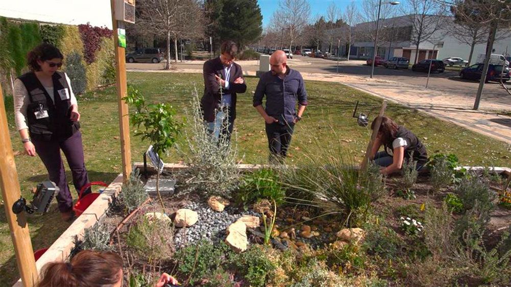 Pollinators key to fighting climate change and creating green cities