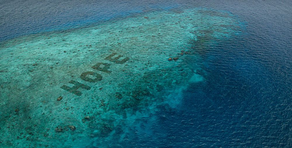 Mars presenta el mayor programa del mundo para la recuperación de los arrecifes de coral