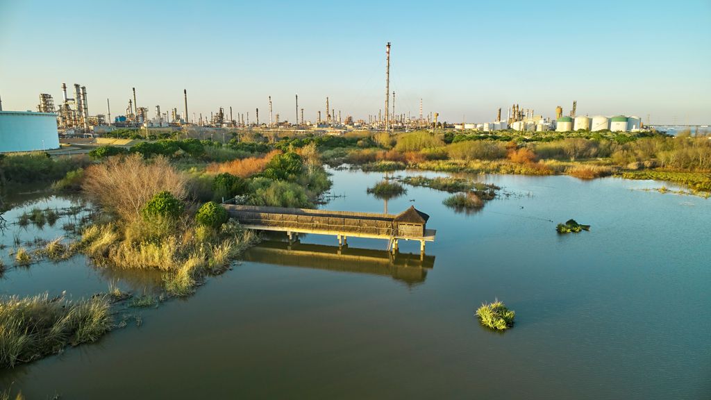 Cepsa celebra el XX aniversario de la restauración de la Laguna Primera de Palos