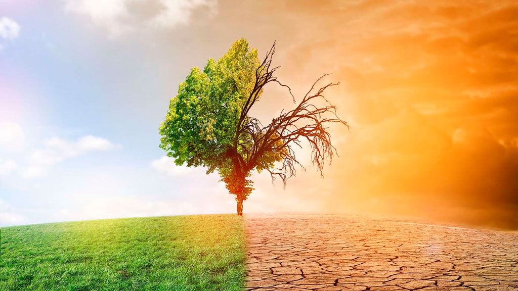 Ciudades y sindicatos se comprometen a abordar juntos el cambio climático y la desigualdad