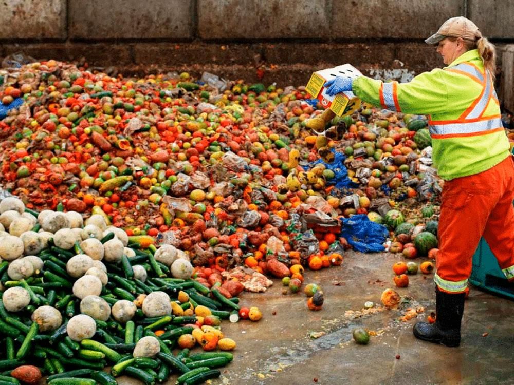 El desperdicio alimentario, una prioridad para todos, consumidores y fabricantes