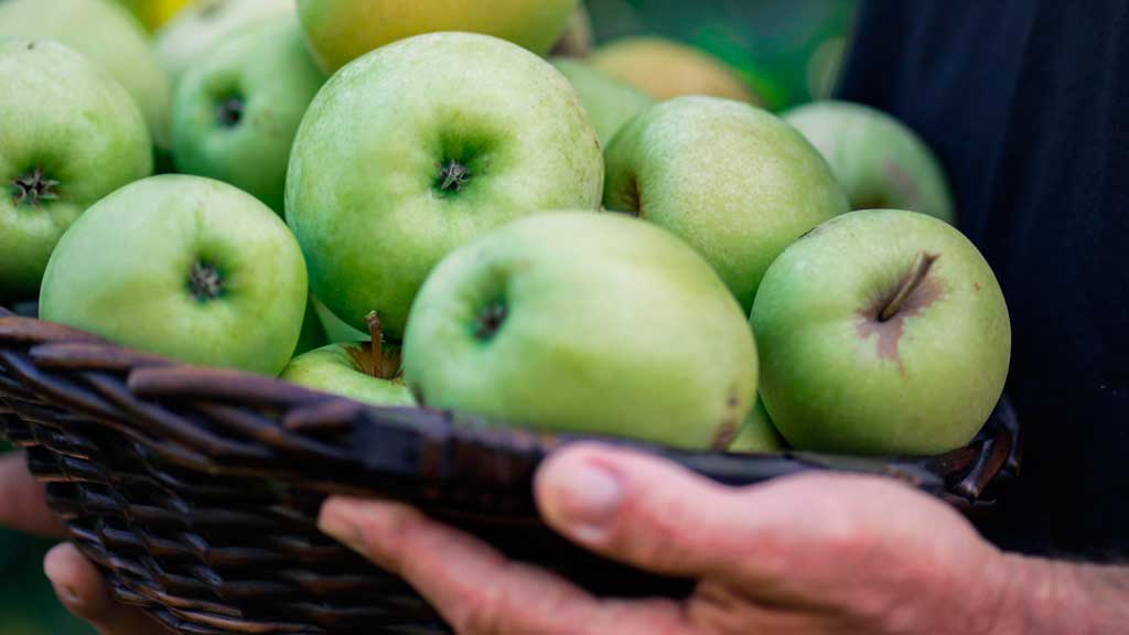 Lidl incrementa un 17% sus compras de manzanas y peras españolas en solo dos años