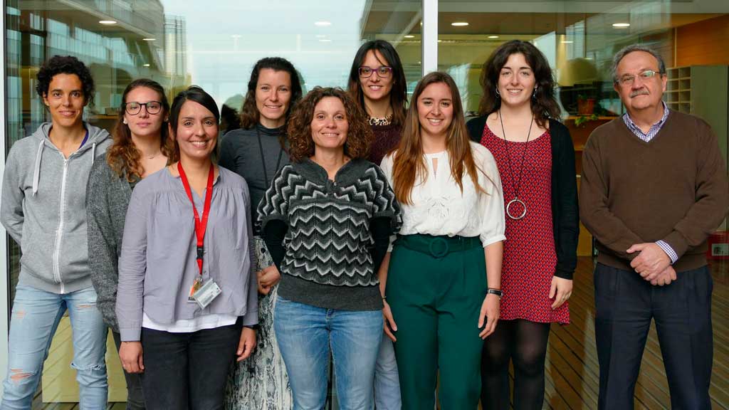 Demuestran la utilidad de una nueva diana terapéutica en el tratamiento con inmunoterapia de uno de los cánceres de mama más agresivos