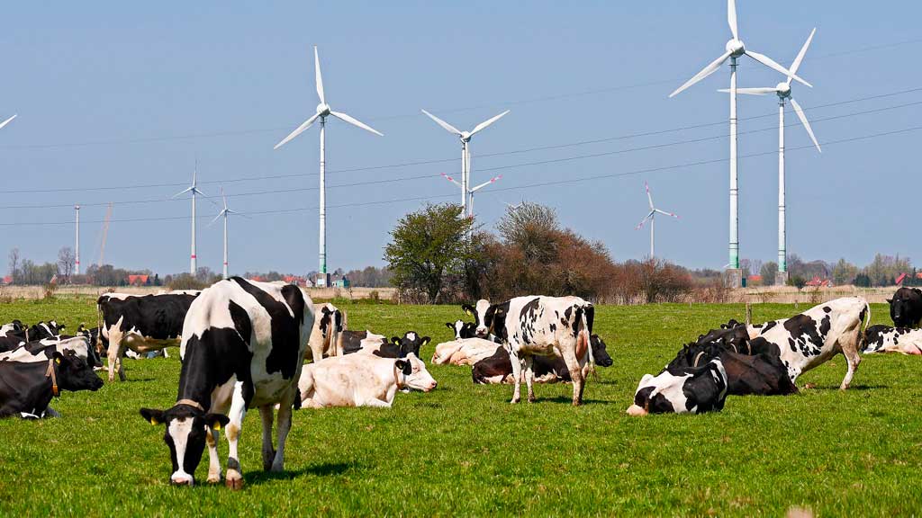 El 74% de la electricidad renovable en 2030 sólo se alcanzará combinando todo tipo de instalaciones