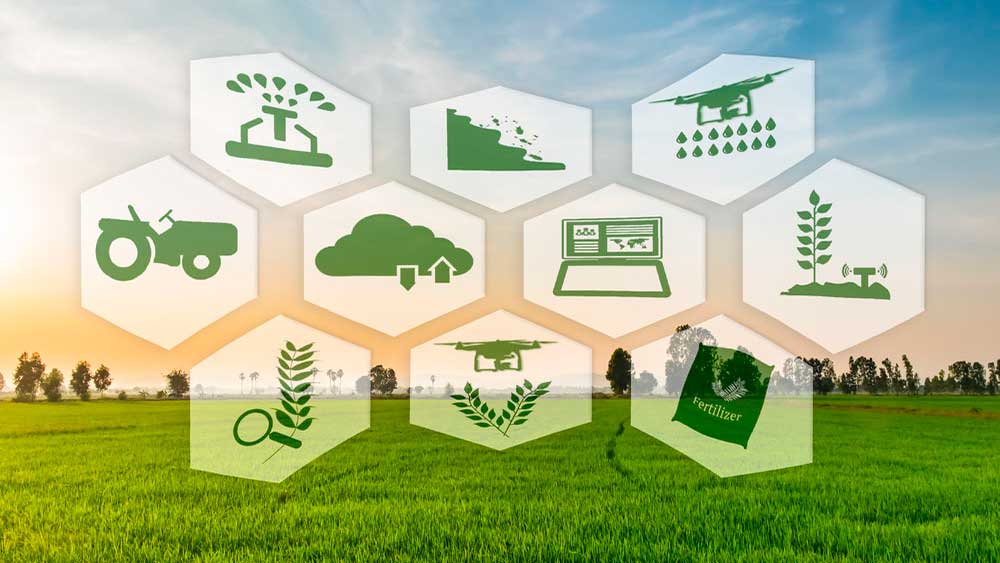 La Industria 4.0 del agroalimentario español no consigue despegar debido a la dificultad de acceso a las tecnologías y a la financiación