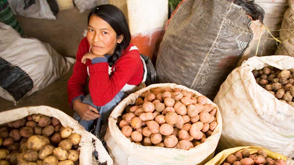 World food prices reach highest level in more than a decade