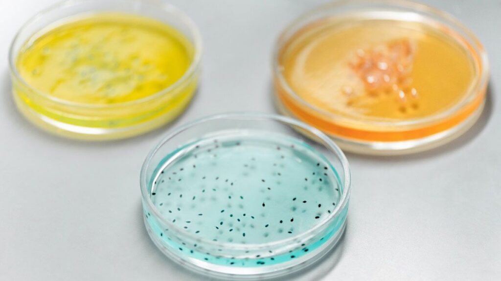 La biotecnología alimentaria ultima su aterrizaje en el gran consumo