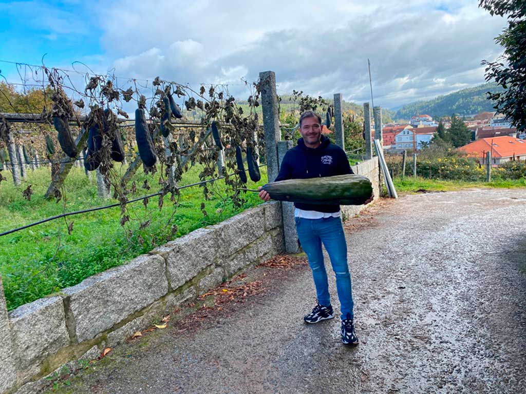 Ibérica de Esponjas Vegetales apoyada por el programa Agrobiotech de Tecnópole, acaba de conseguir una patente europea
