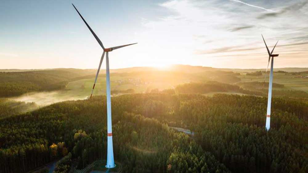 Consultation to support the Green and Digital Transitions
