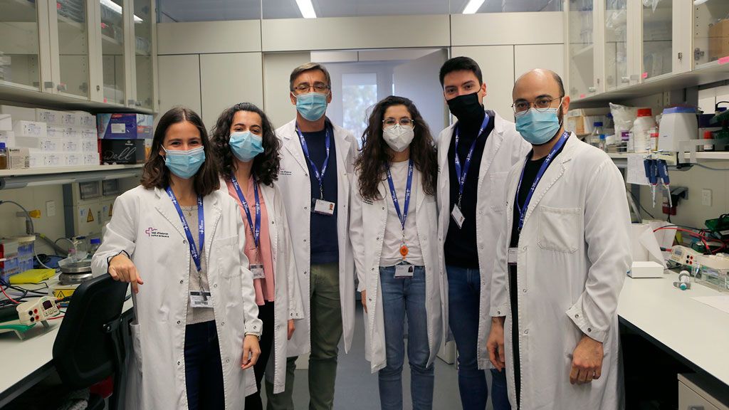 Describen un mecanismo que dificulta la proliferación de las células cancerosas e induce su muerte