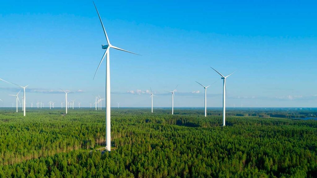 New German Government to speed up wind energy expansion