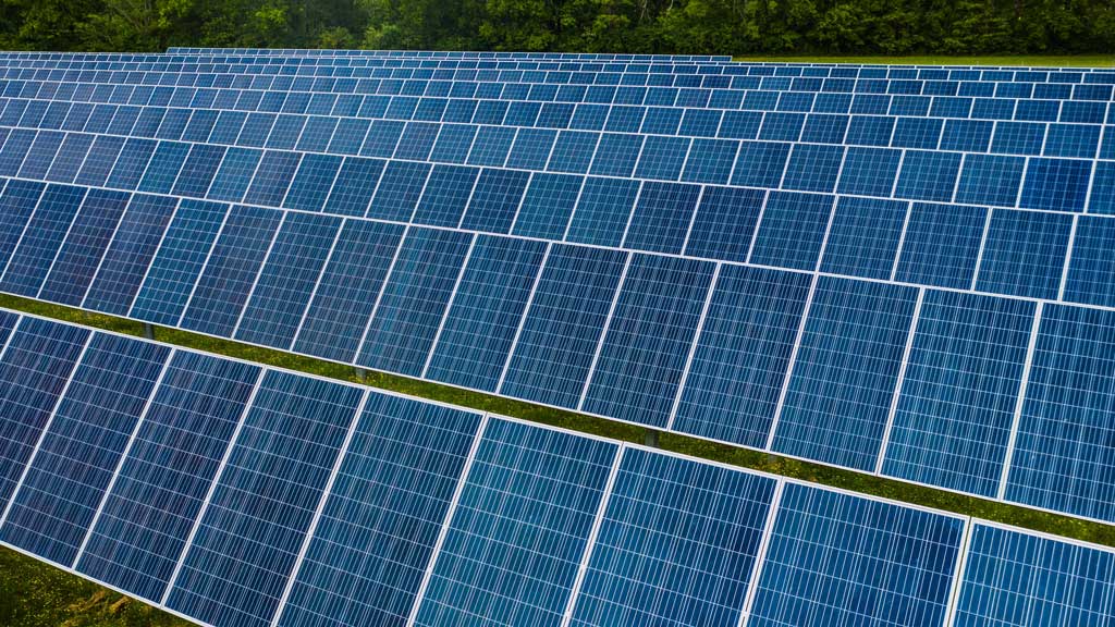 Anticuerpos monoclonales, placas fotovoltaicas y nanomateriales para el espacio y la medicina, entre las nuevas empresas tecnológicas del CSIC