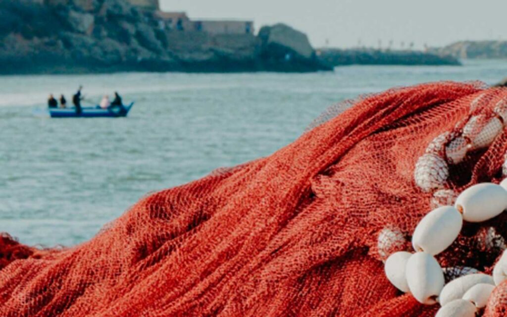 Un protocolo común de actuación en todos los puertos garantizaría la correcta gestión de los residuos de artes de pesca