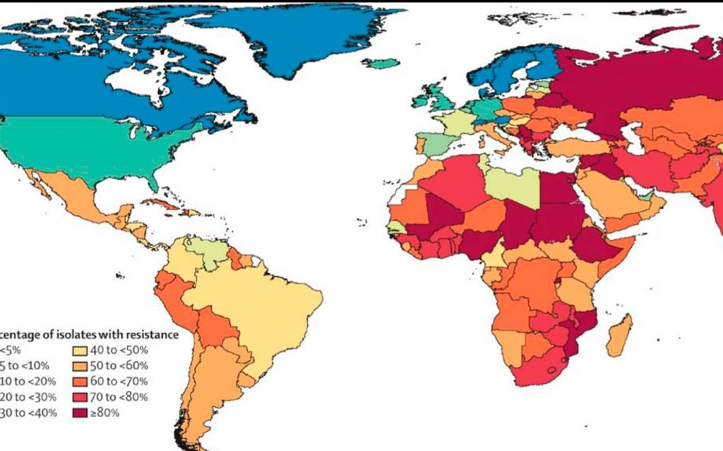 An estimated 1.2 million people died in 2019 from antibiotic-resistant bacterial infections