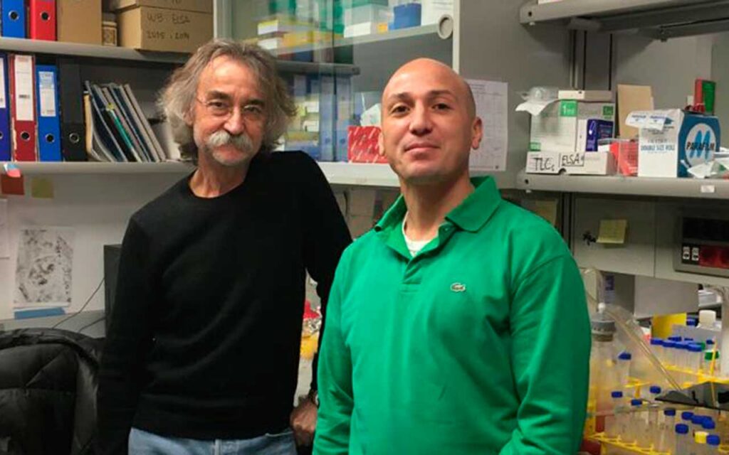 Descubierto un mecanismo molecular implicado en el transporte celular del colesterol 