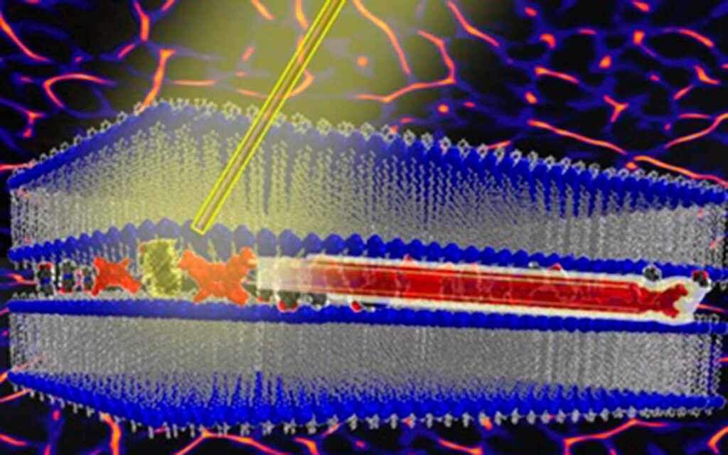 Diseñada una máquina molecular artificial impulsada por la luz 