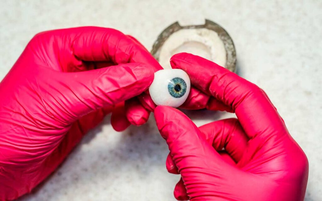 Developing the next generation of artificial vision aids