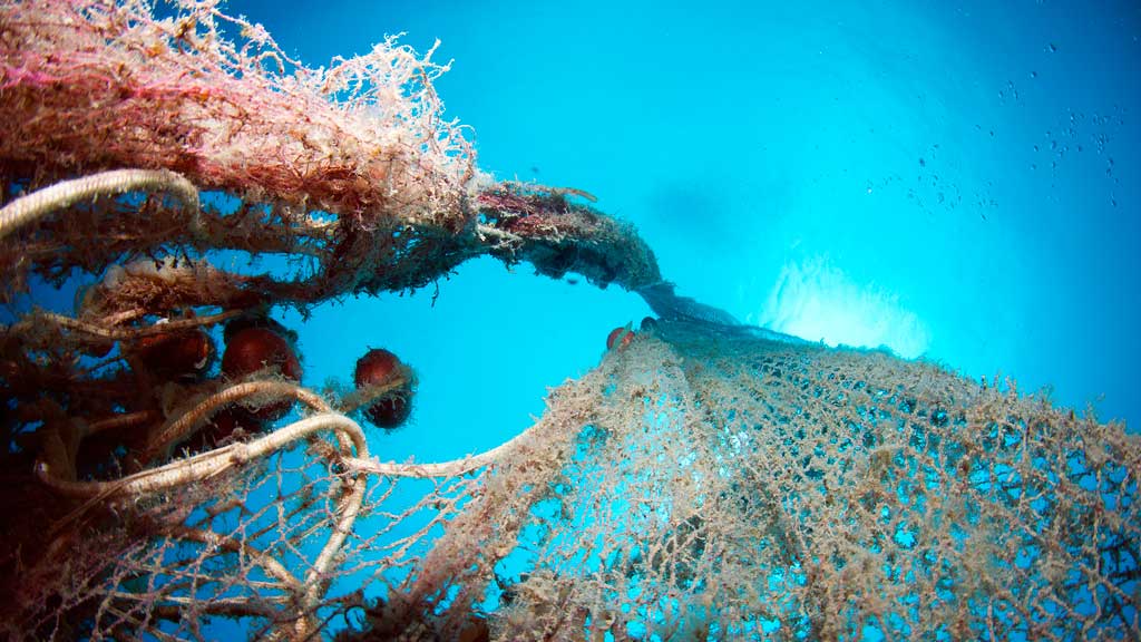 Apoyo a 30 nuevos proyectos para impulsar la innovación en el sector pesquero y acuícola y reforzar la protección de la Red Natura 2000 en el medio marino