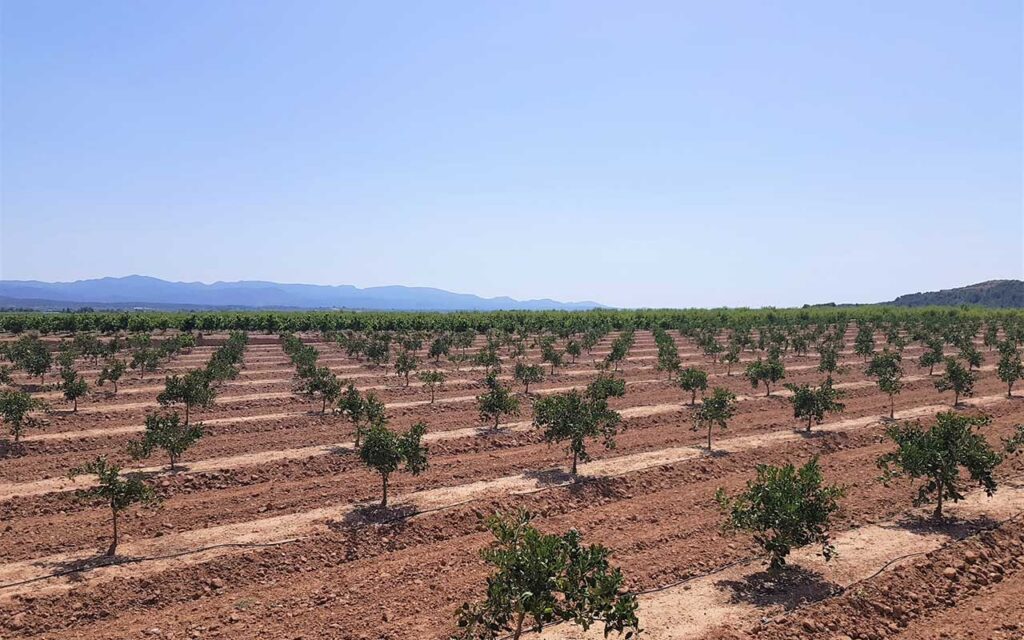Real Decreto para reducir la contaminación por nitratos y reforzar la protección de las masas de agua más vulnerables