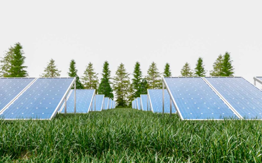 El Global Solar Council rechaza que se etiqueten como verdes la energía nuclear y el gas y pide concentración en la energía solar y otras fuentes verdes