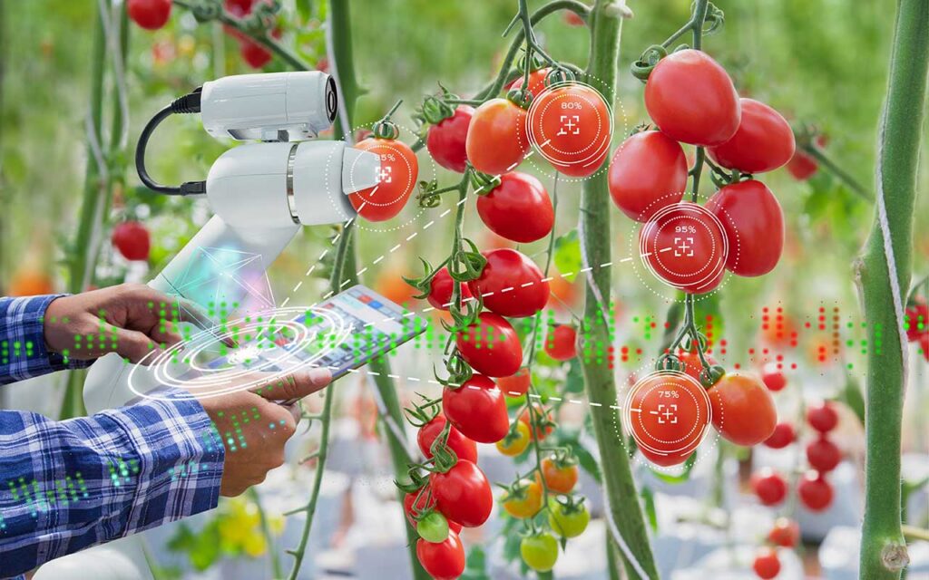 A GMV-led consortium drives research into the application of AI in the agrifood production chain