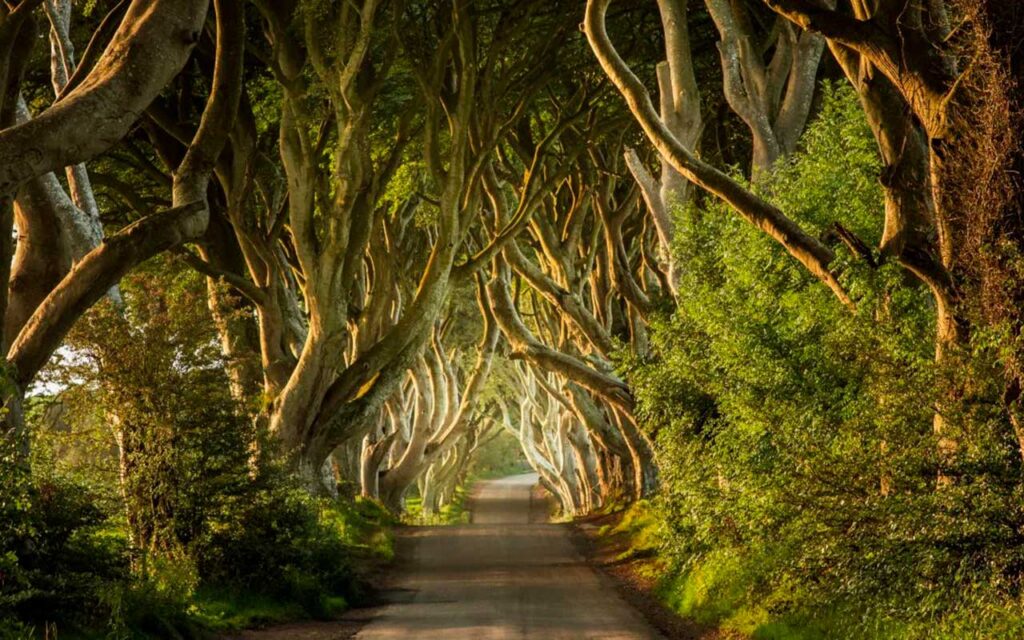 NI Govt faces legal challenge over damaging gas project near Game of Thrones site