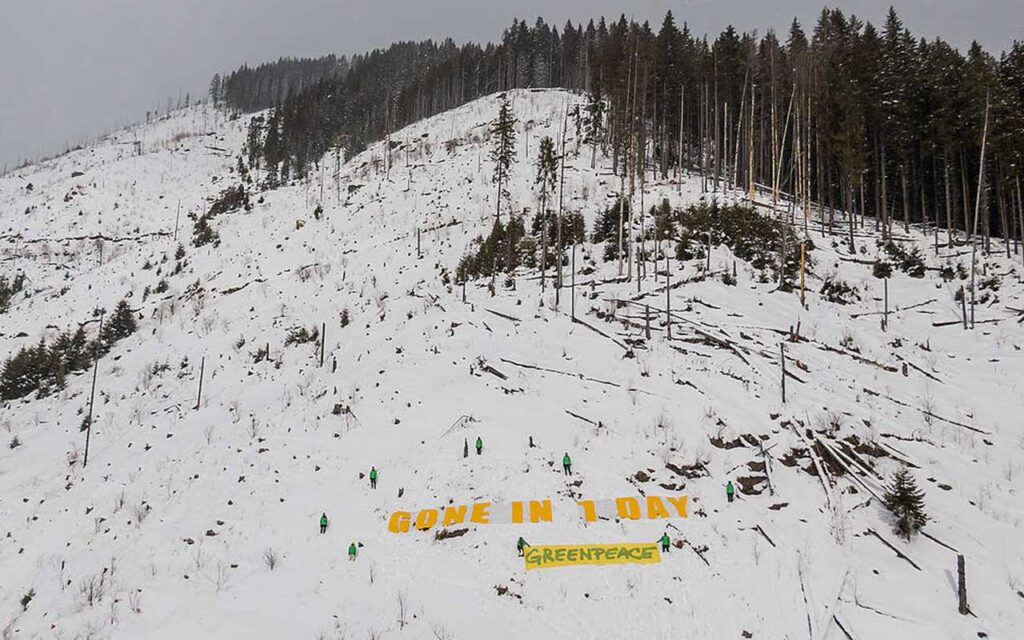 Stop forest destruction