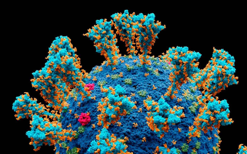 Descubren más de cien mil virus desconocidos mediante una nueva herramienta informática