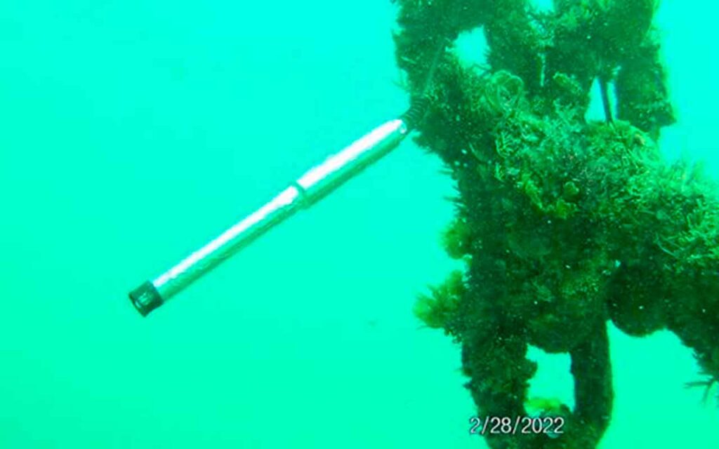 Digital twin services, Aqualabo and Kerlink demonstrate LoRaWAN® system to monitor seawater quality in Mauritius