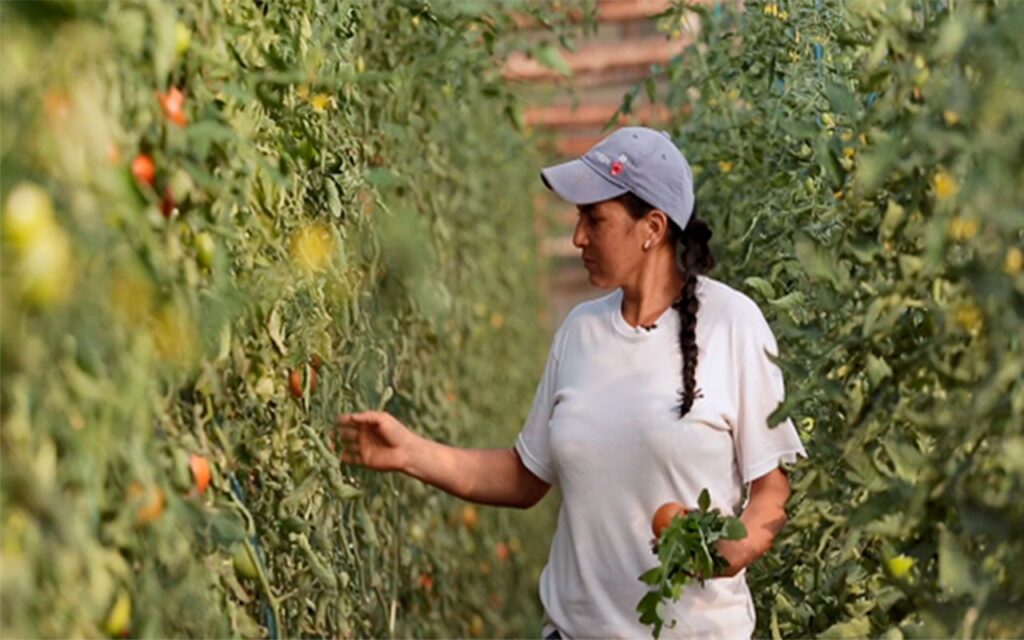 Las mujeres representan el 57% (1,6 millones) de los emprendedores que atiende la Fundación Microfinanzas del BBVA