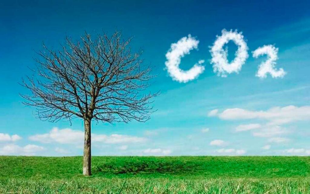 El tejido empresarial europeo podría reducir sus emisiones un 50% si más compañías asumiesen el liderazgo climático en cada sector