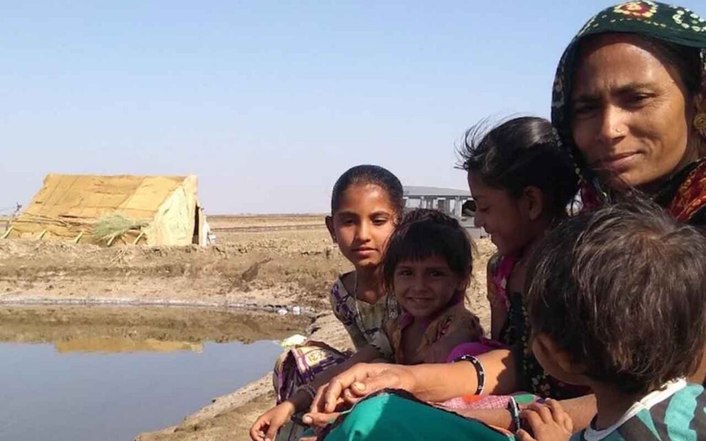 Women building a sustainable future: India’s rural energy pioneers